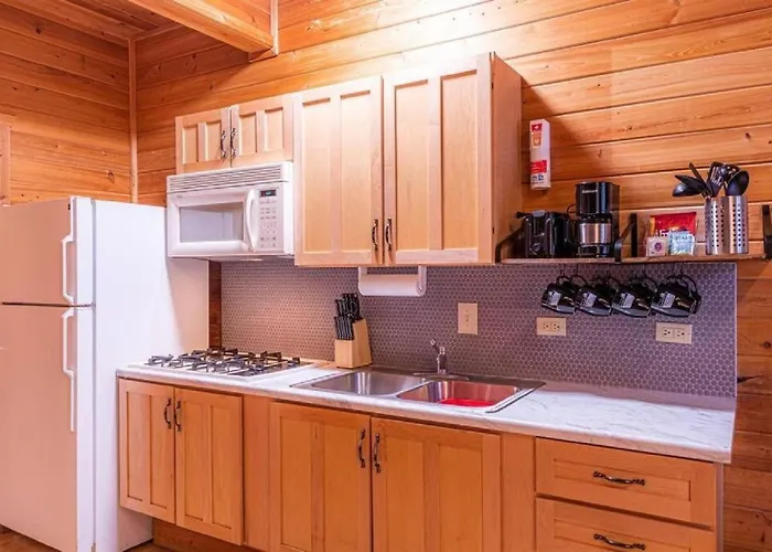 #5 Black Bear - Pet Friendly - Sleeps 6 - Playground & Game Chalet *